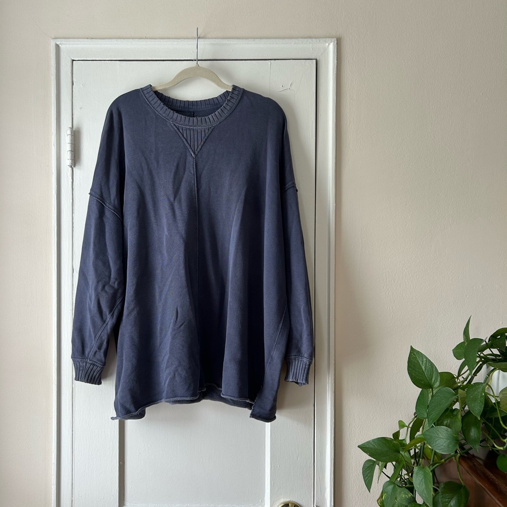 Aerie Big Chill Crew Neck